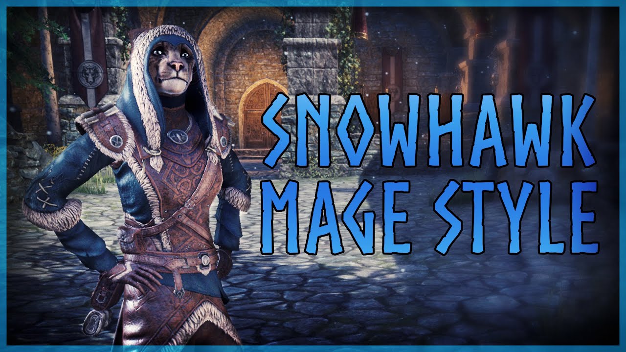 ESO Snowhawk Mage Outfit Style